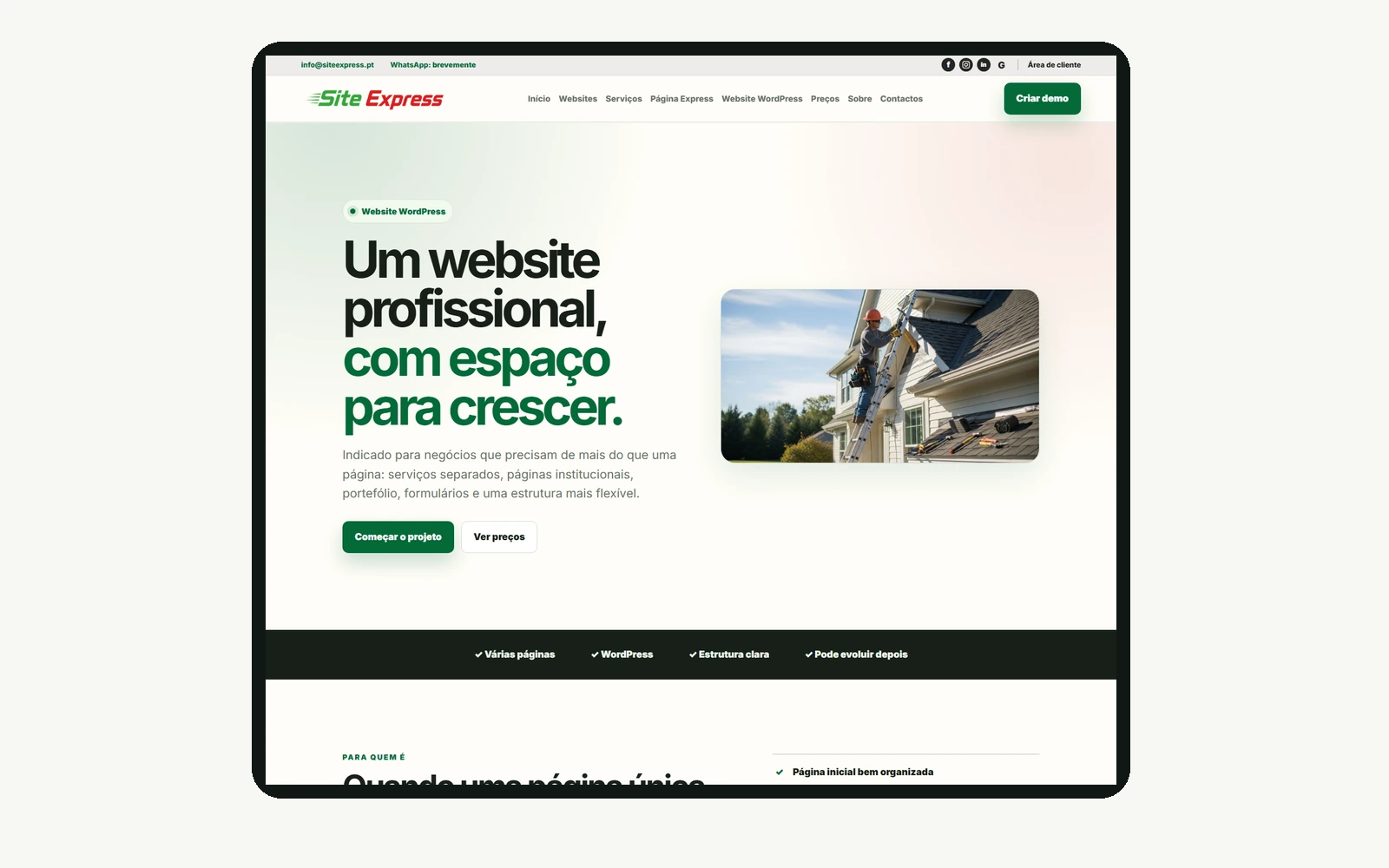 Visual de domínio e email profissional SiteExpress